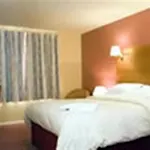 ذا ويشينج ويل سيلبي